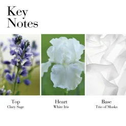 White Tea Eau de Toilette