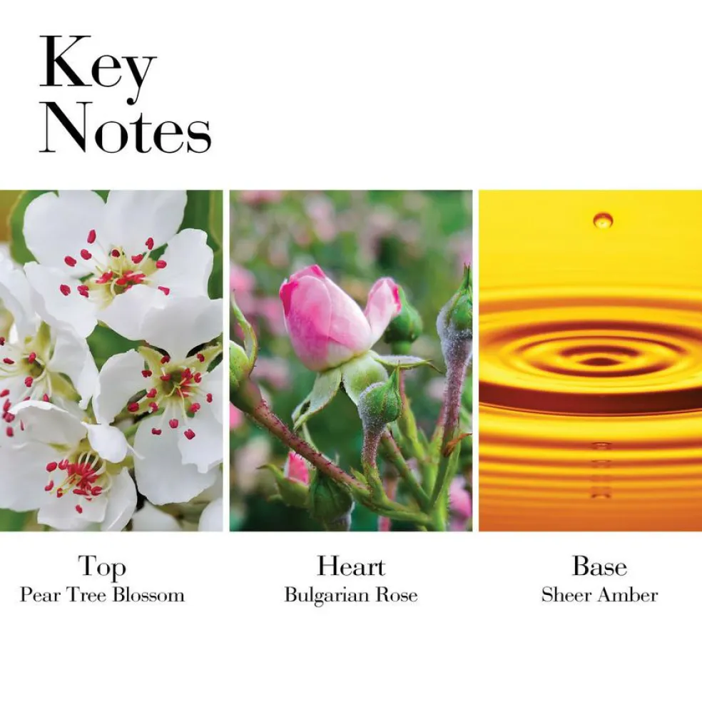 White Tea Wild Rose Eau de Toilette