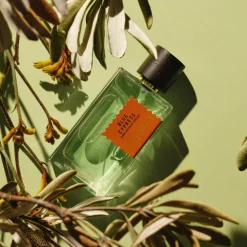 Wood Infusion Eau de Parfum