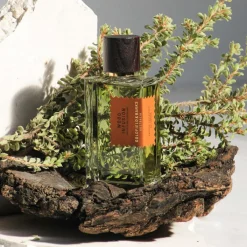 Wood Infusion Eau de Parfum