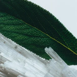 Wood Sage & Sea Salt Cologne Travel Spray